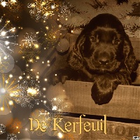 Marley (Mac Arthur) de Kerfeuil