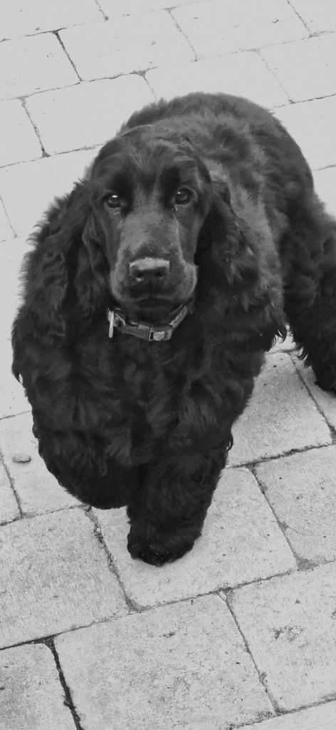 Arthémis Of Ortense Memories